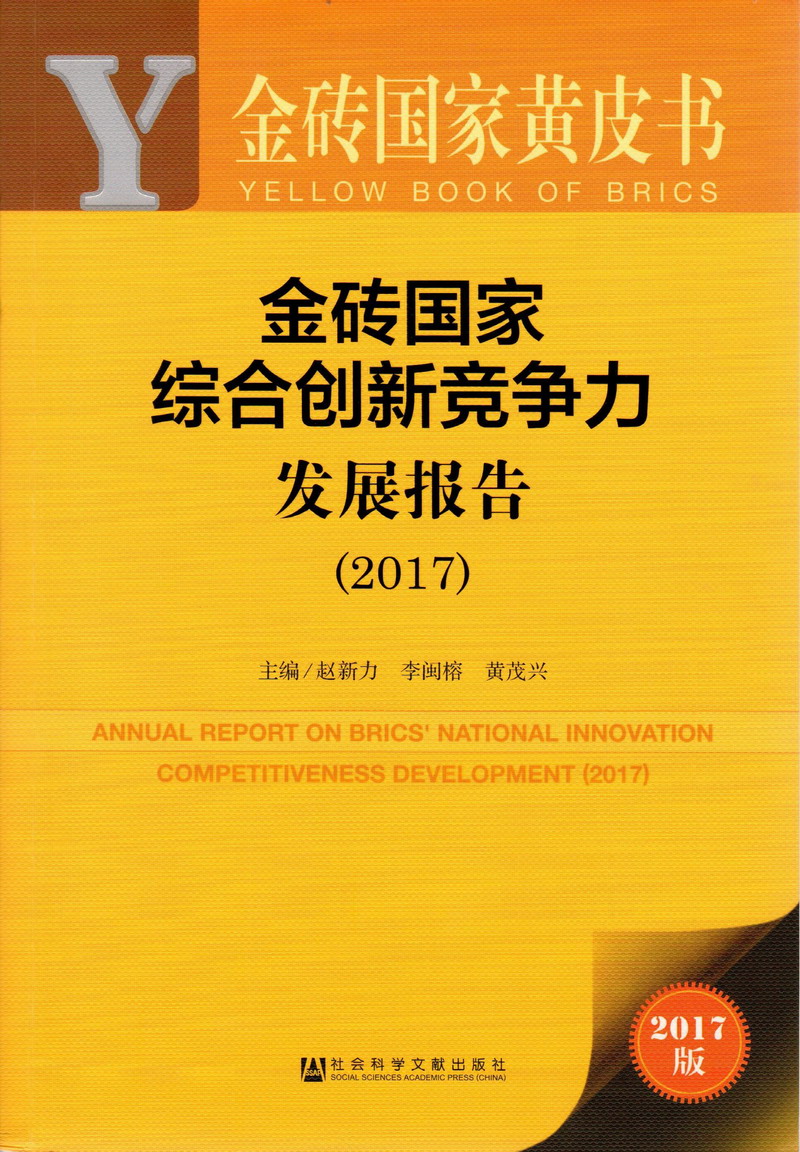 日大骚逼金砖国家综合创新竞争力发展报告（2017）